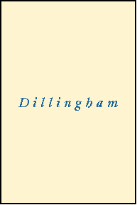 DILLINGHAM County, AK ZIP Code Map