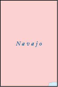 NAVAJO County, AZ ZIP Code Map