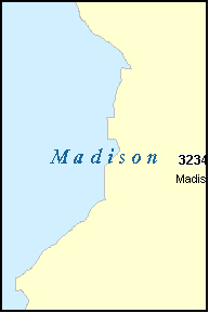 MADISON County, Florida Digital ZIP Code Map