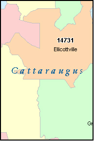 cattaraugus county zip code map ny york
