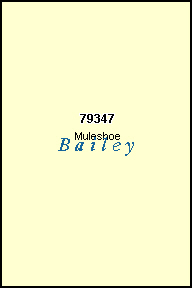 BAILEY County, TX ZIP Code Map