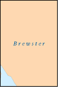 BREWSTER County, TX ZIP Code Map