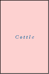 COTTLE County, TX ZIP Code Map