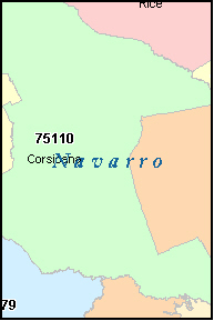 NAVARRO County, TX ZIP Code Map
